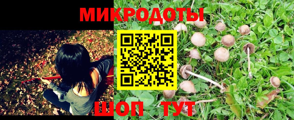 Галлюциногенные грибы GOLDEN TEACHER  Вход с VPN  Дагестанские Огни  Псилоцибиновые грибы Magic Shrooms 